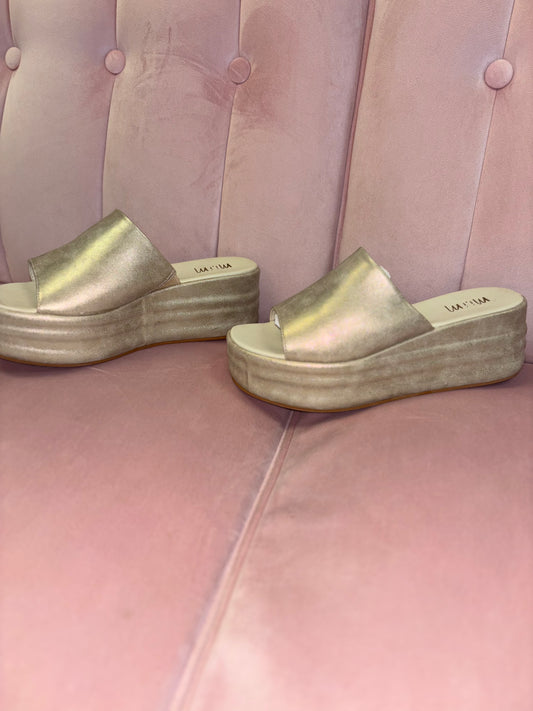 The Molly Wedge Platforms